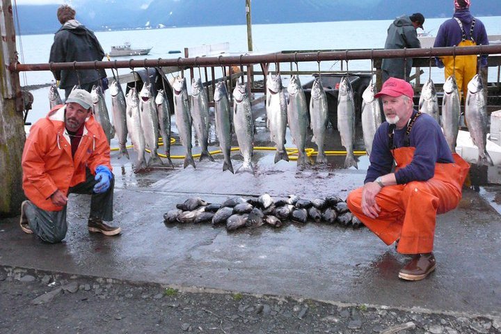 Captains with their catch of Salmon and Rockfish