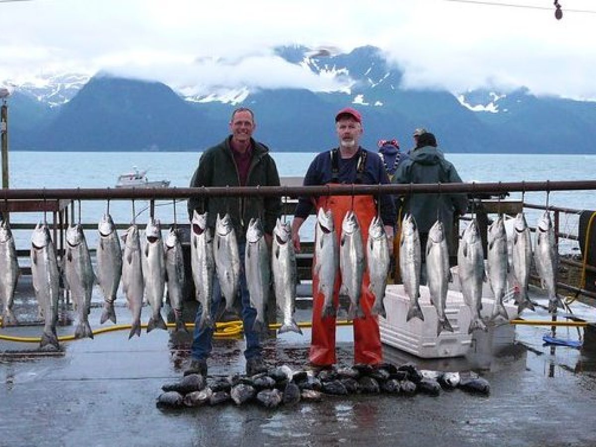 Salmon hanging at the filet station