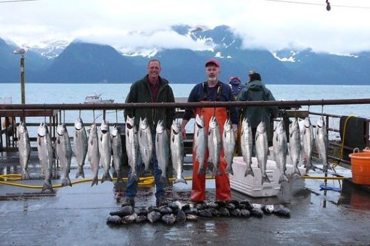 Salmon hanging at the filet station