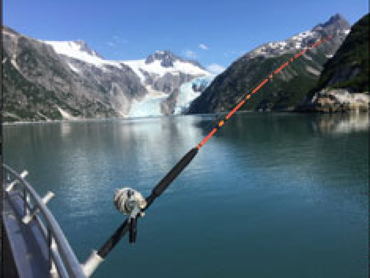 Glacier Kayaking, Fishing in Alaska, Sightseeing in Kenai Fjords National Park