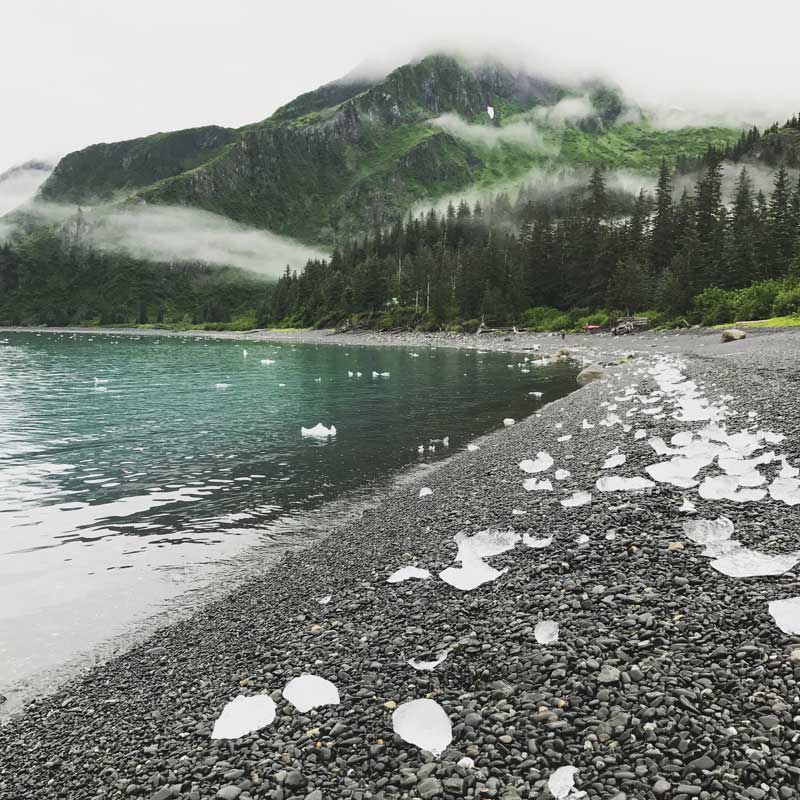 Brash Ice sits upon the beach in Kenai Fjords National Park at the start of a Kayaking Trip