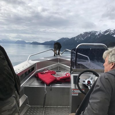 Stabicraft on the water -- Self-guided Fishing in style!