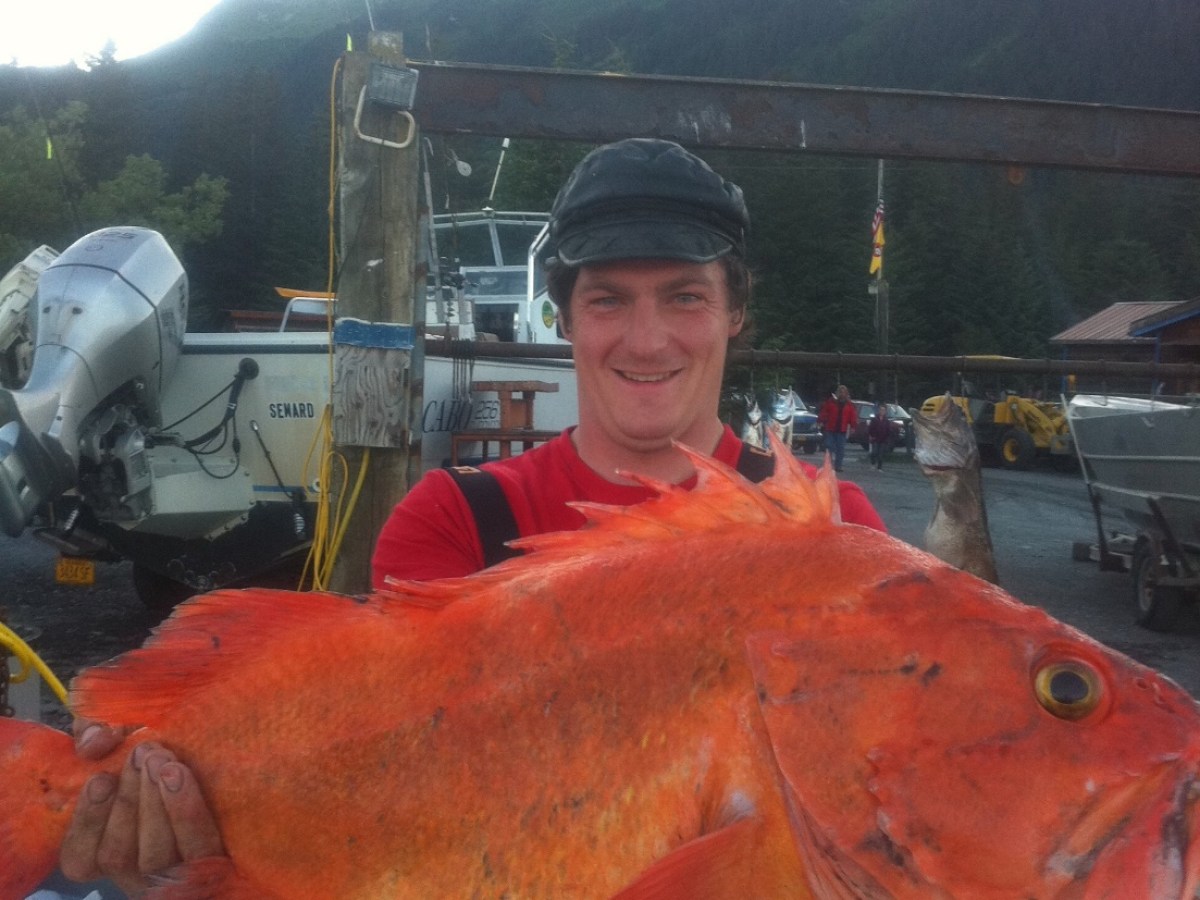Great Big Yellow Eye - Rock Fish caught near Seward, AK