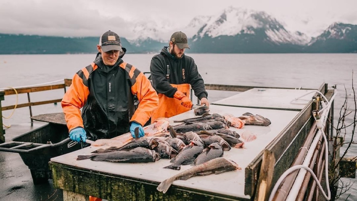 Catch from a Fishing Charter in Seward, Alaska