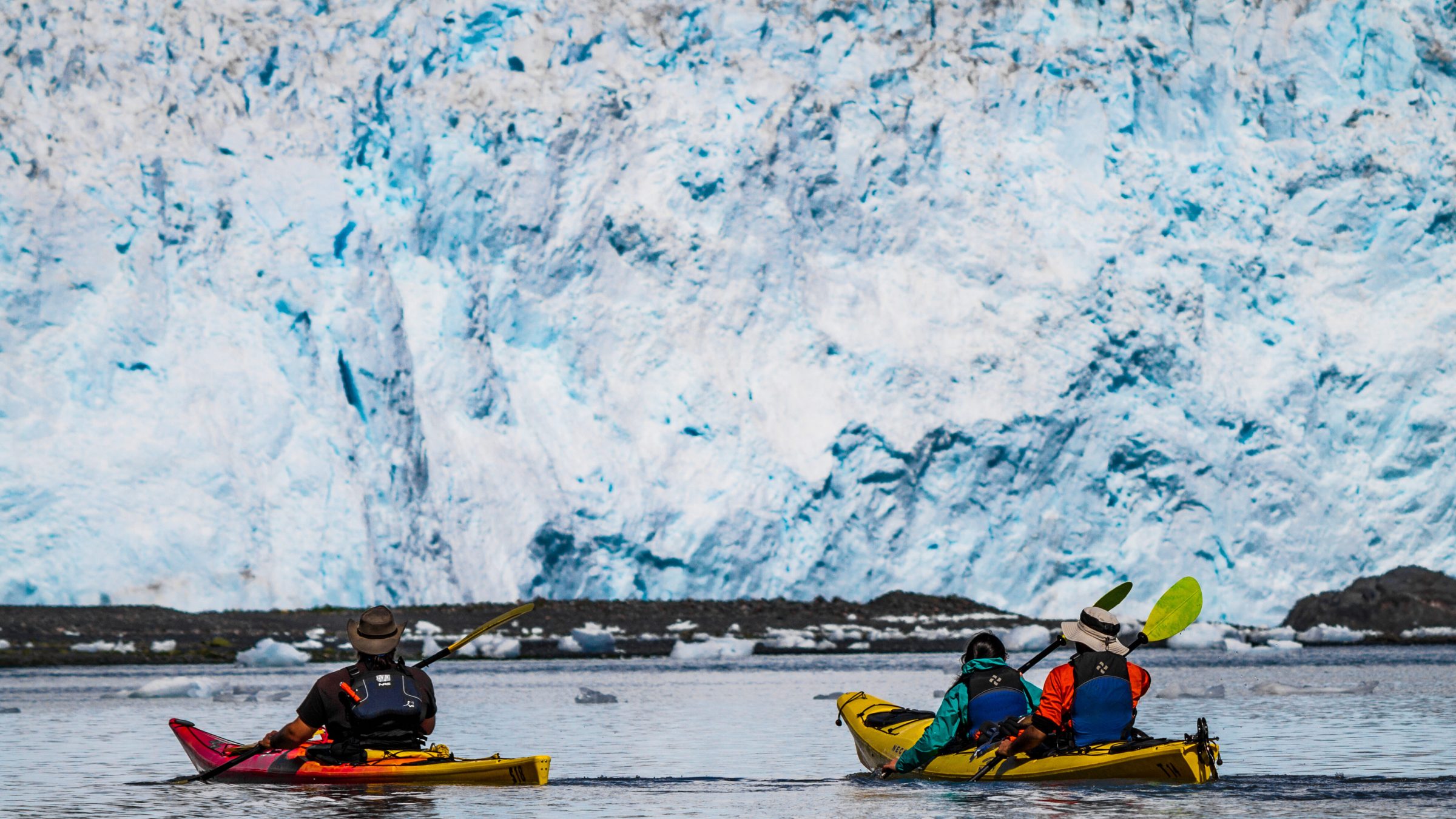 Aialik Glacier Kayaking Day Trip in Kenai Fjords National Park