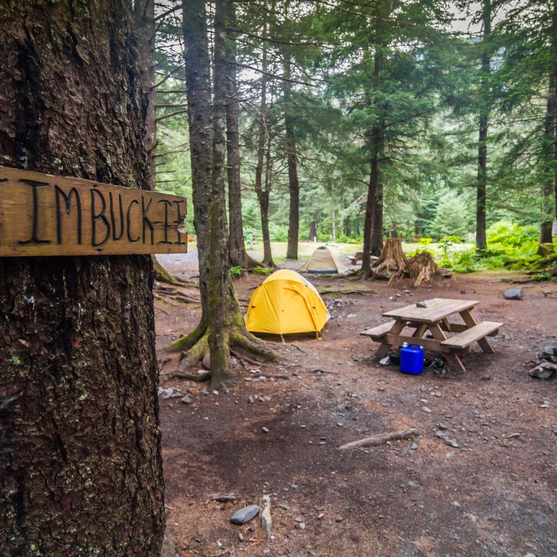 Camp TimBuck2 at Miller's Landing outside of Seward, AK