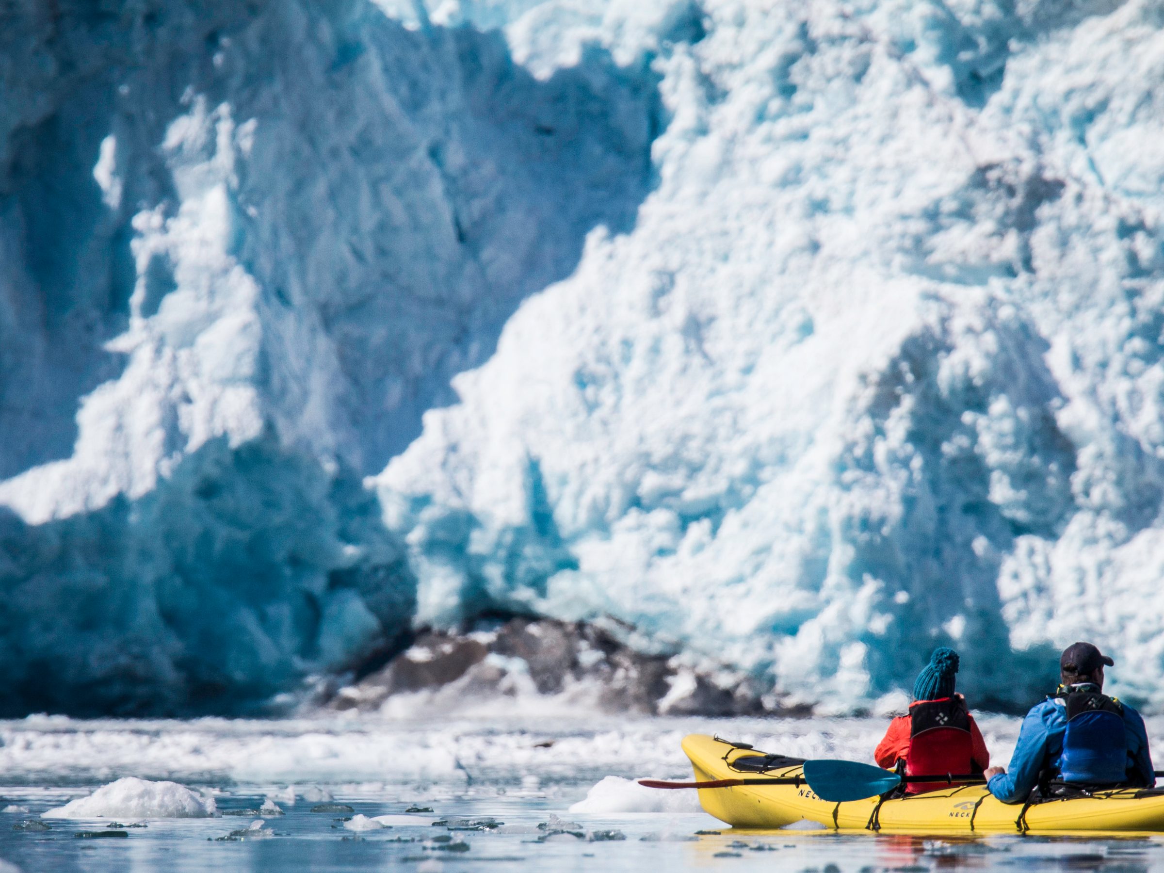 Kayaking in front of Aialik Glacier, Kenai Fjords National Park