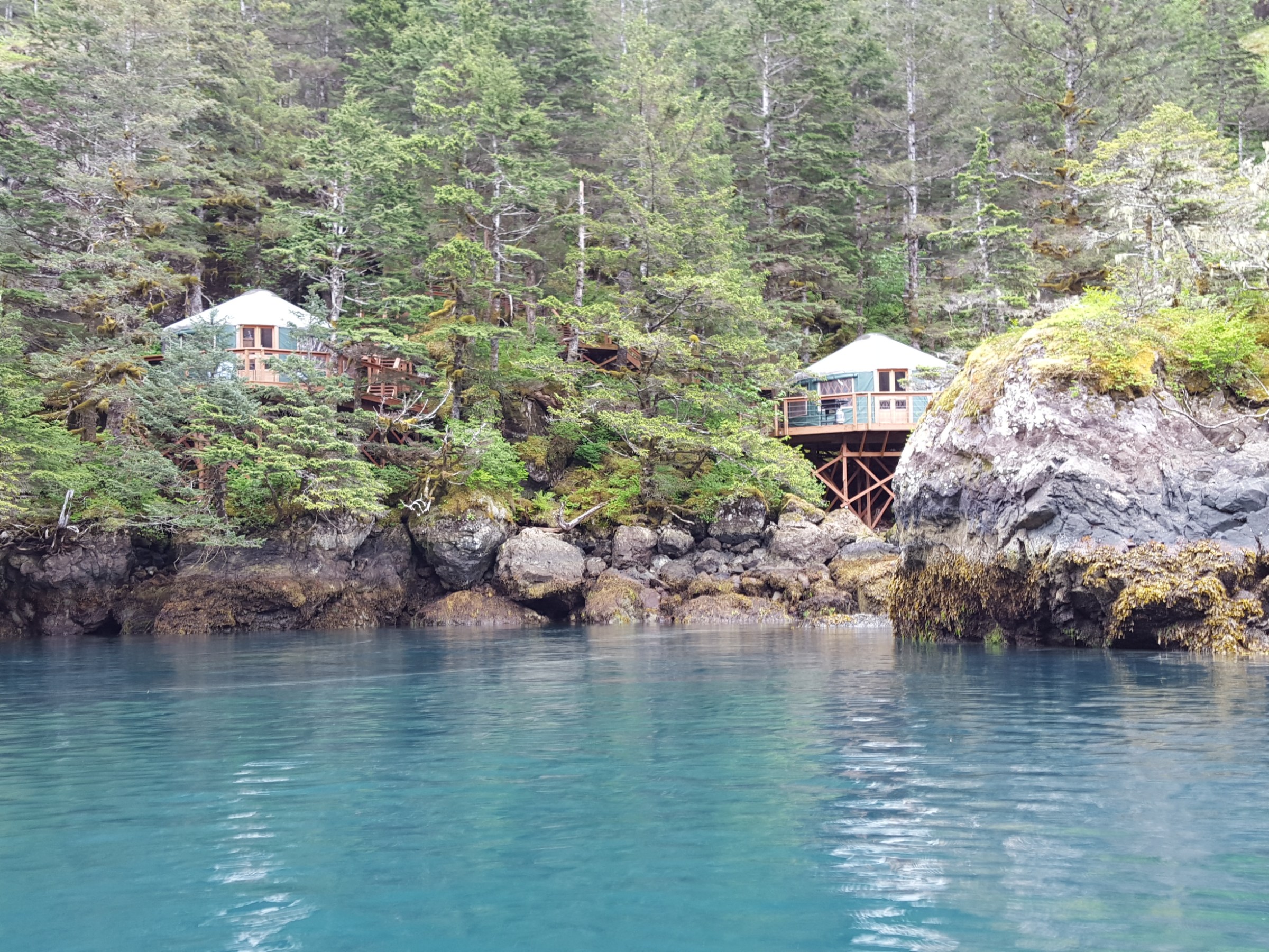 Orca Island Yurts in Humpy Cove, Resurrection Bay, Seward, AK