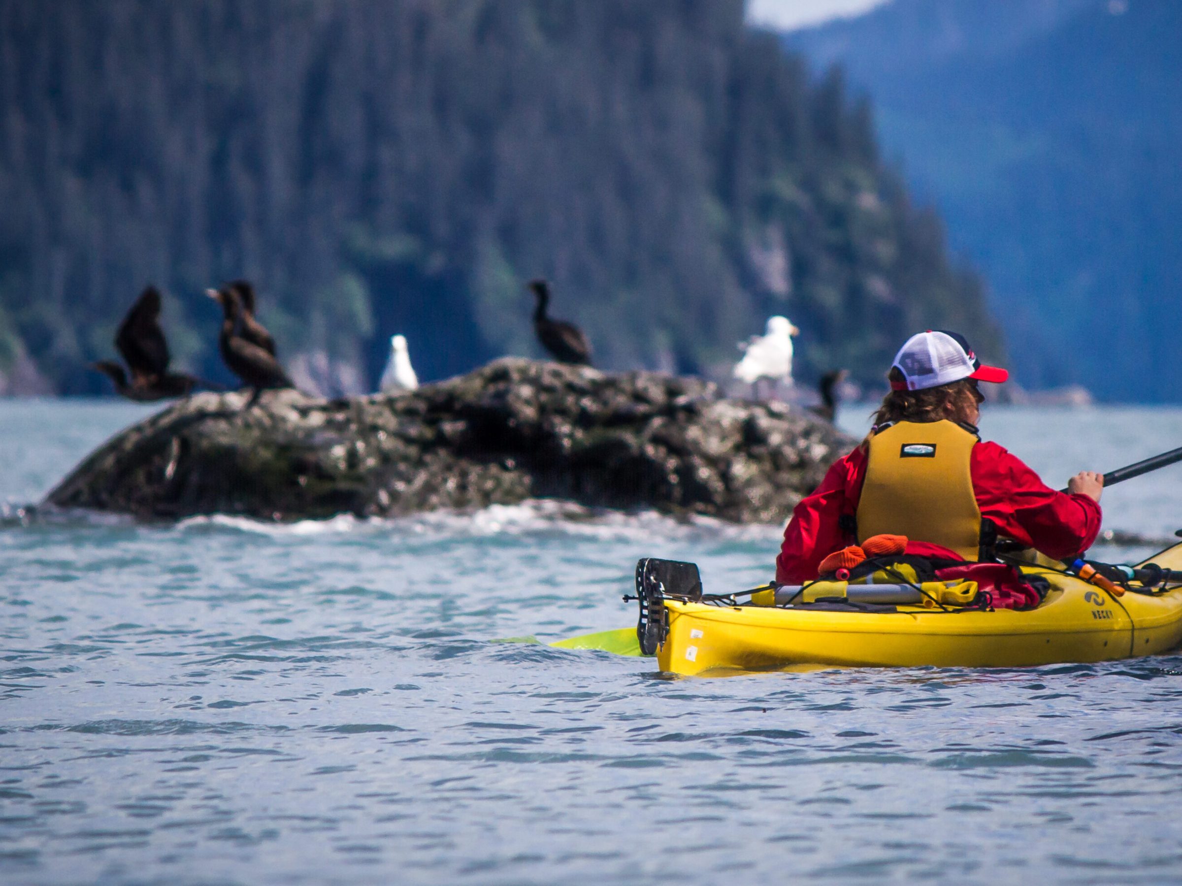 Kayaking in Resurrection bay near Humpy Cove and Thumb Cove