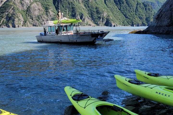 a green boat on a body of water