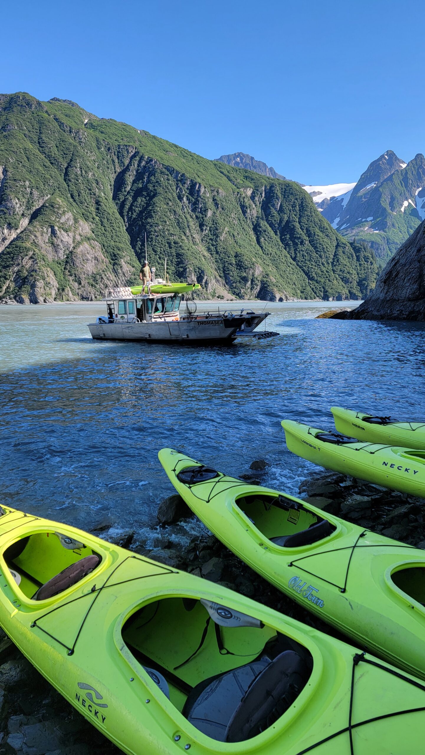 a green boat on a body of water