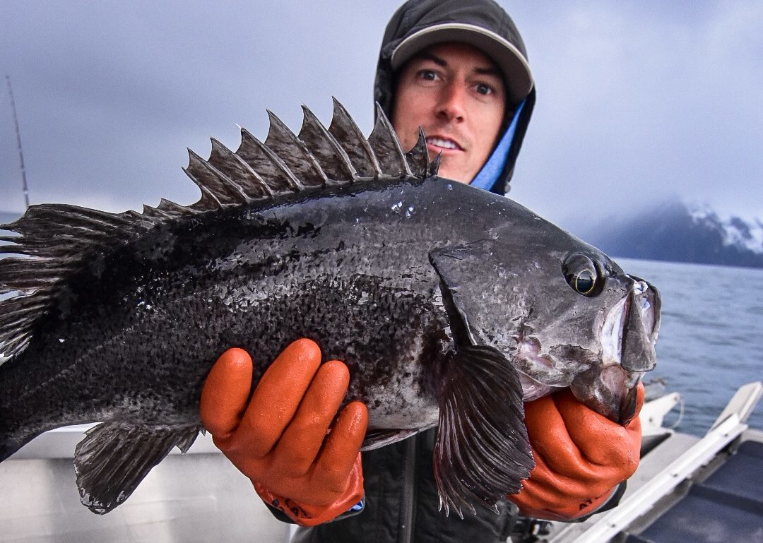 a person holding a fish