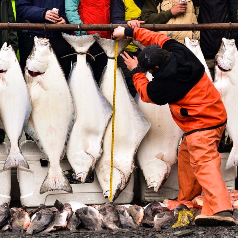 a group of people standing in front of a fish