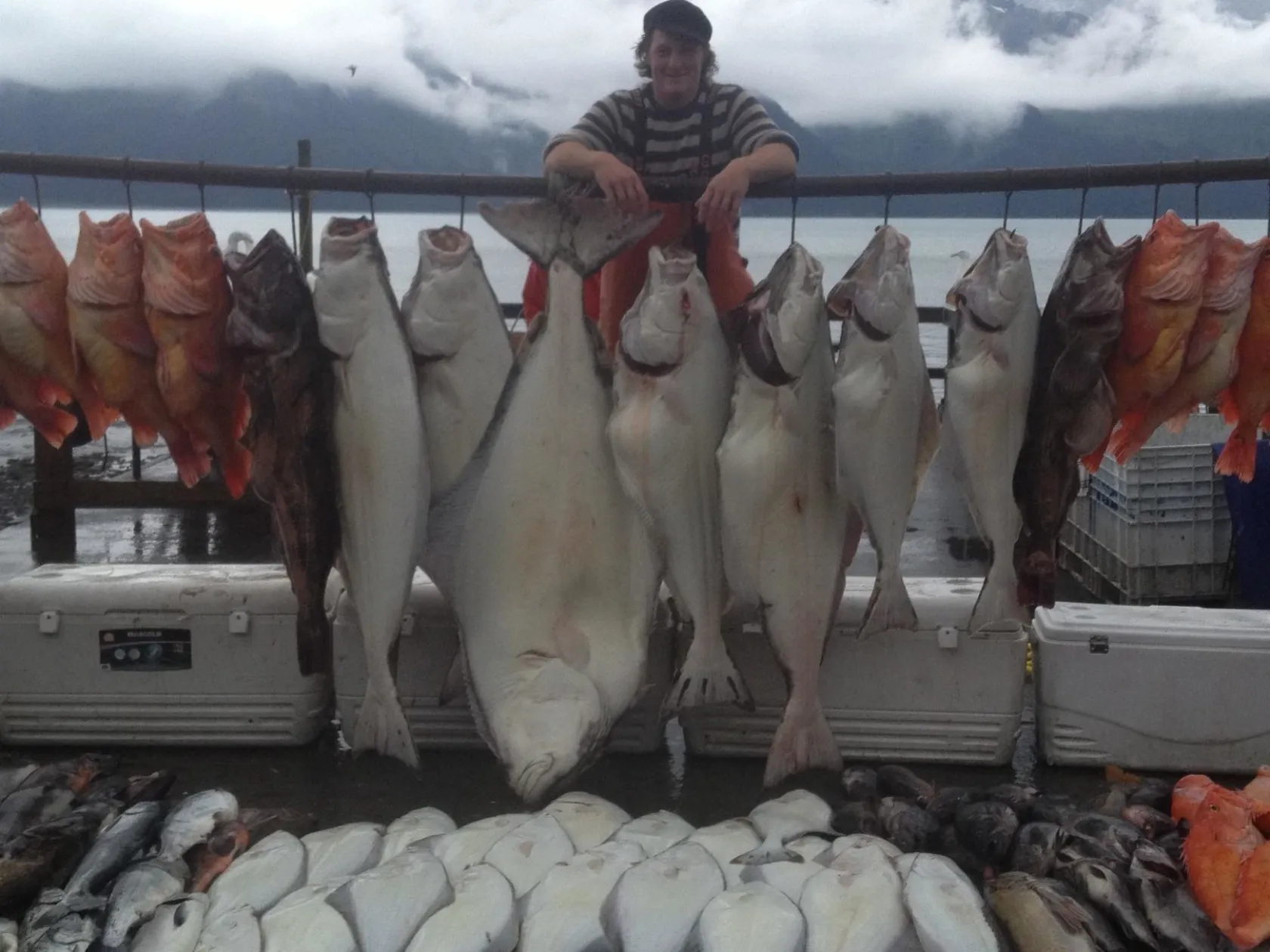 Halibut, Salmon, Ling Cod, and Rockfish Combo Fishing Charter in Seward, AK