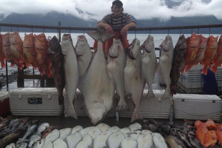 Halibut, Salmon, Ling Cod, and Rockfish Combo Fishing Charter in Seward, AK