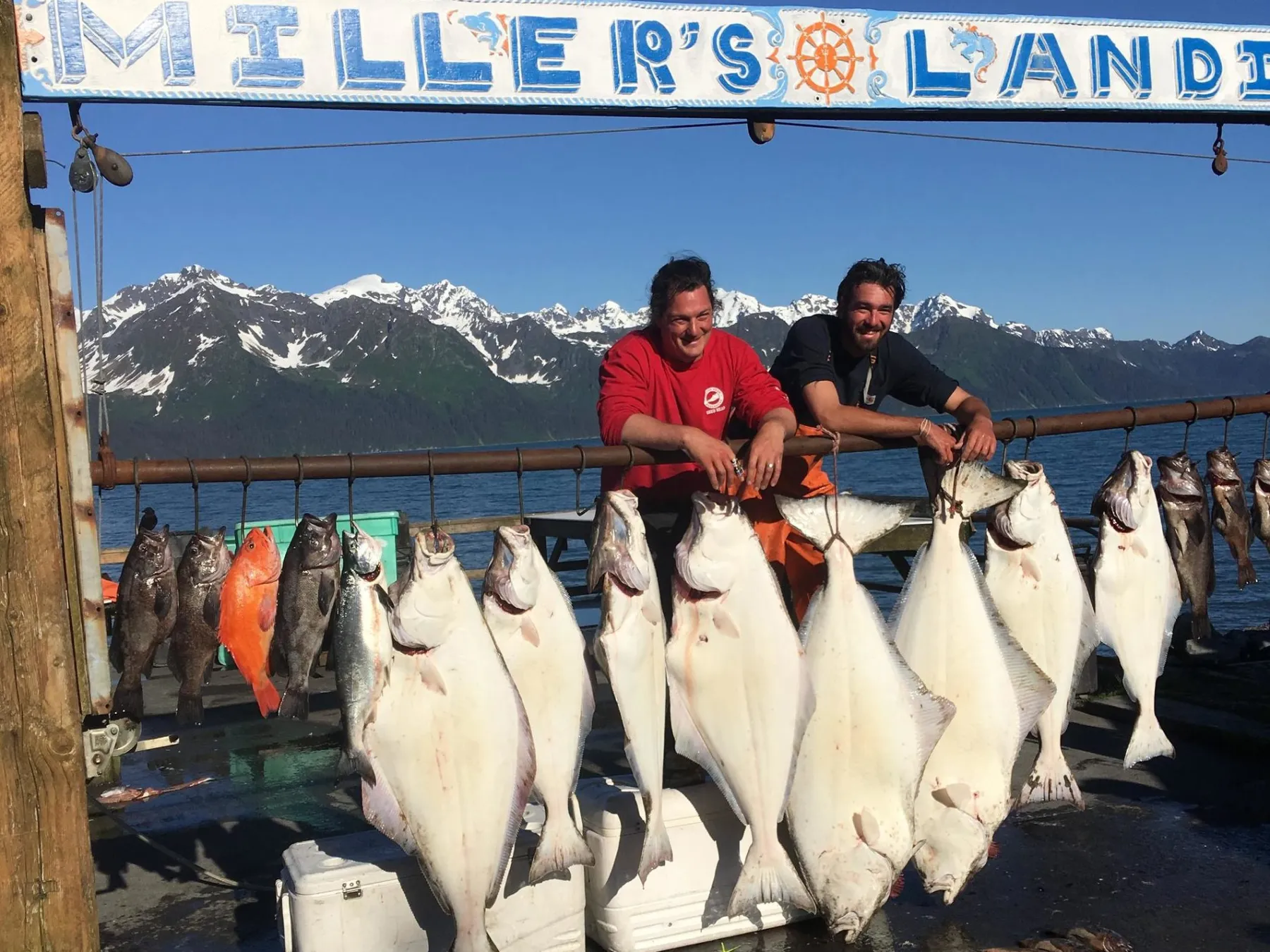 Halibut, Salmon, Ling Cod, and Rockfish Combo Fishing Charter in Seward, AK
