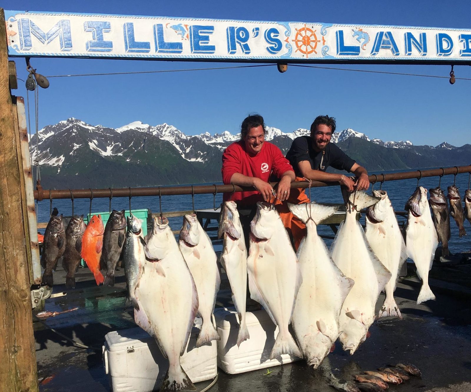 Halibut, Salmon, Ling Cod, and Rockfish Combo Fishing Charter in Seward, AK