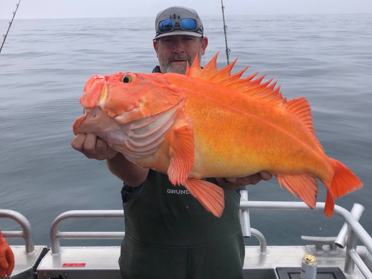Man on boat holding large orange fish.
