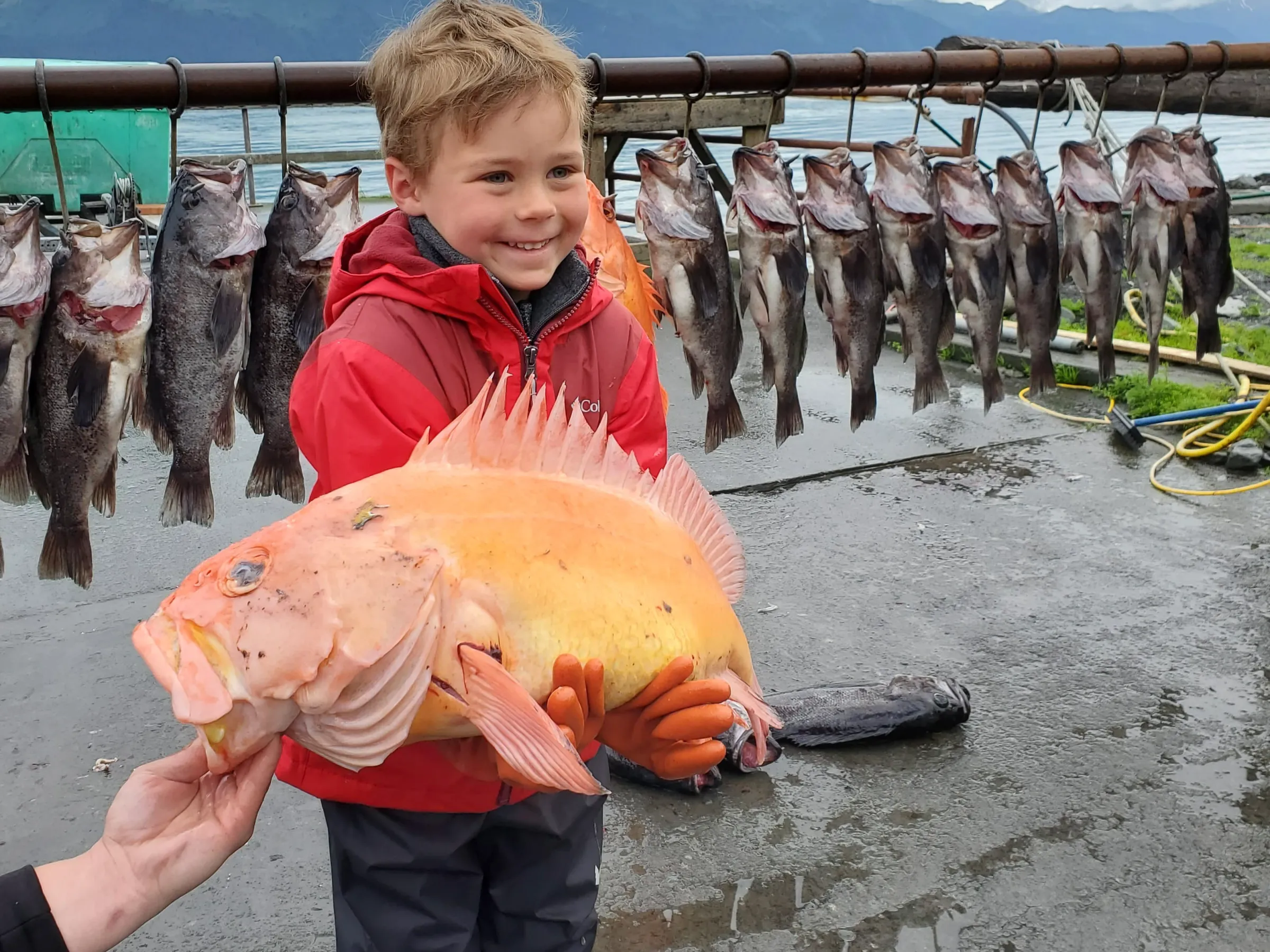 Smiling child in a red coat holding a large orange fish, with more fish hanging in the background.