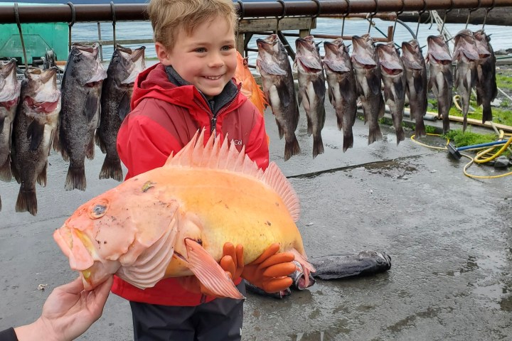 Smiling child in a red coat holding a large orange fish, with more fish hanging in the background.