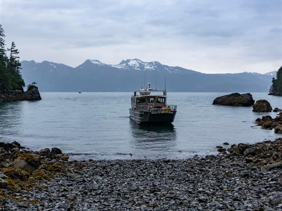 Kayak Water Taxi to Kayakers Cove Seward Alaska
