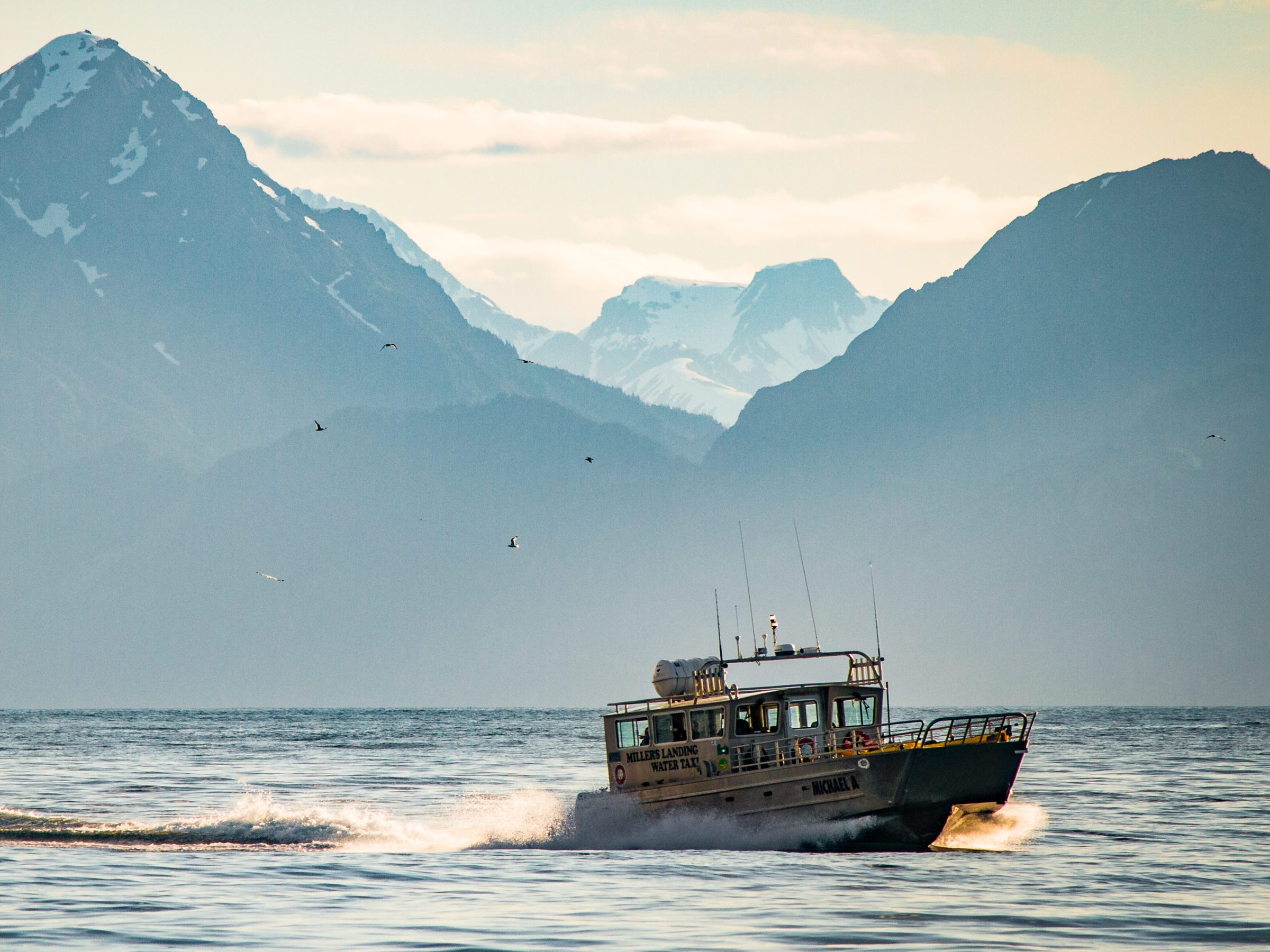 National Park Water Taxi in Aialik Bay