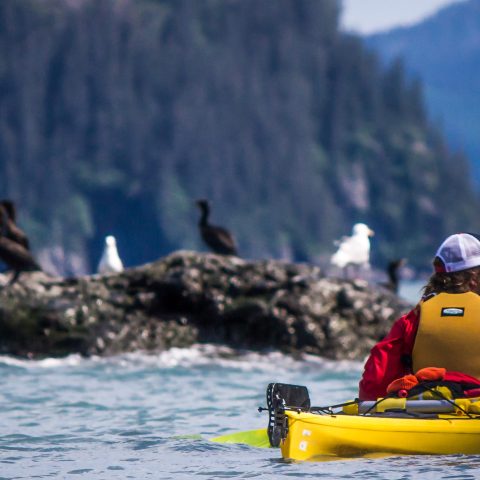 orca island to 3 alpine glacier kayaking