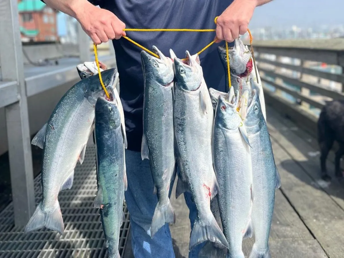 a man holding salmon