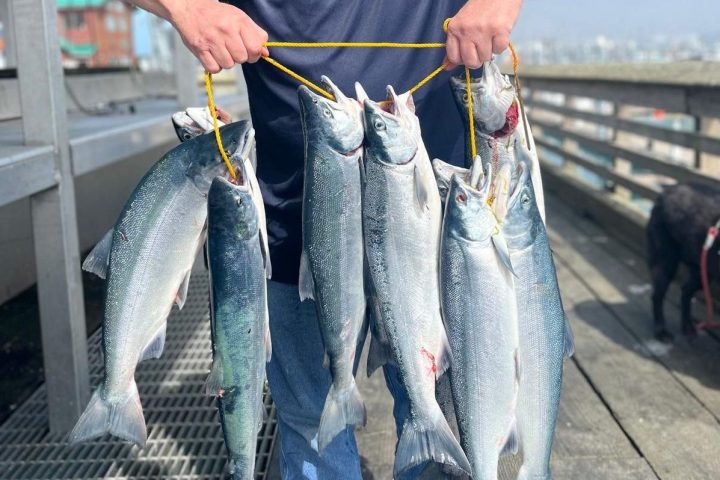a man holding salmon