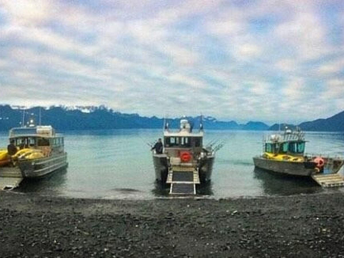 sunny cove water taxi