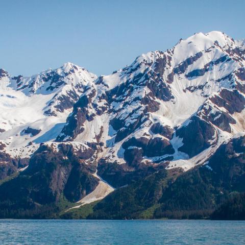 Thumb Cove near Seward Alaska