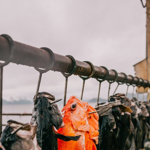 Fish hanging on racks