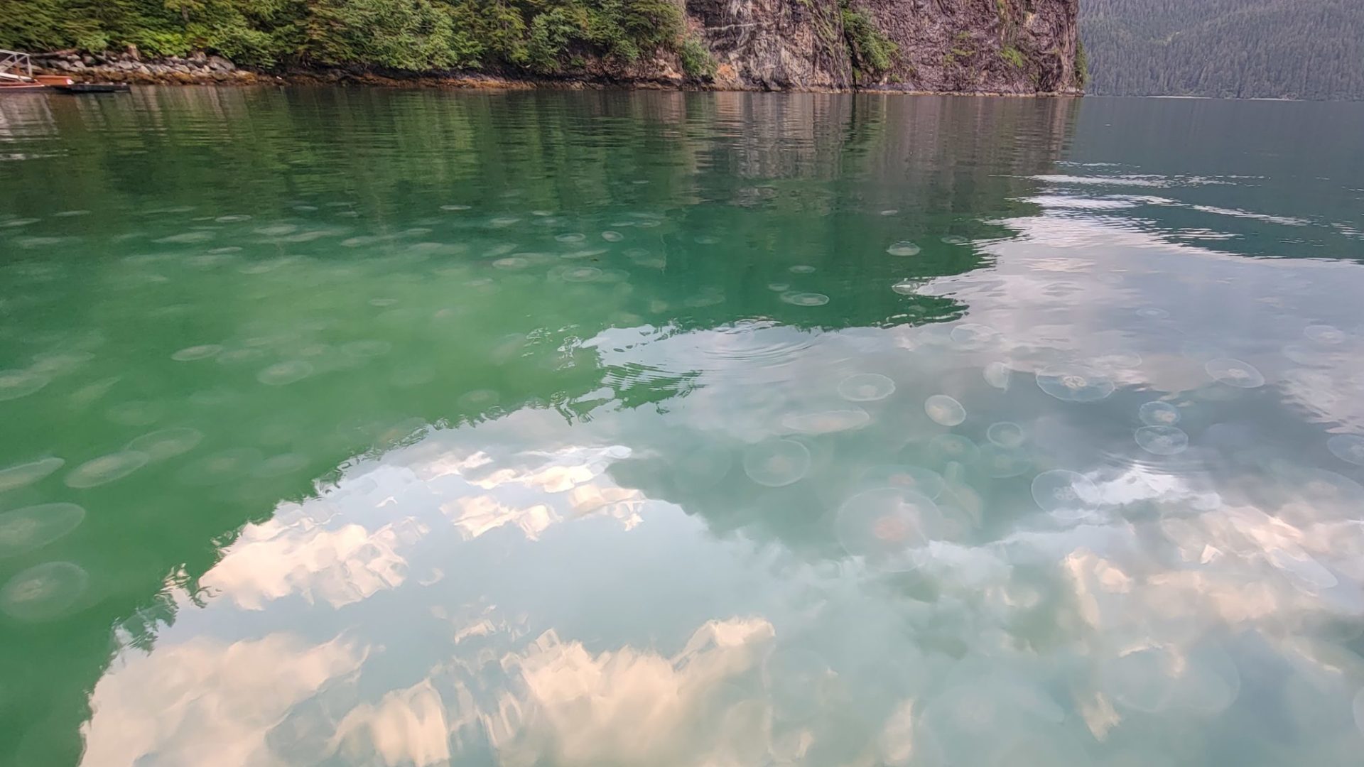 a large body of water