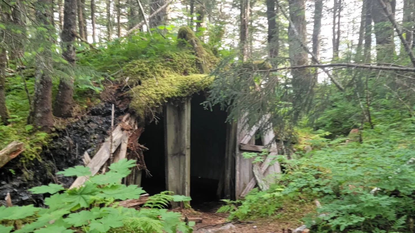 a dirt path in a forest