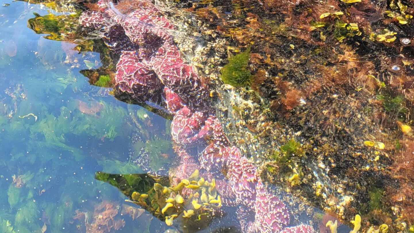Millers Landing Seward Alaska Beach Seaside