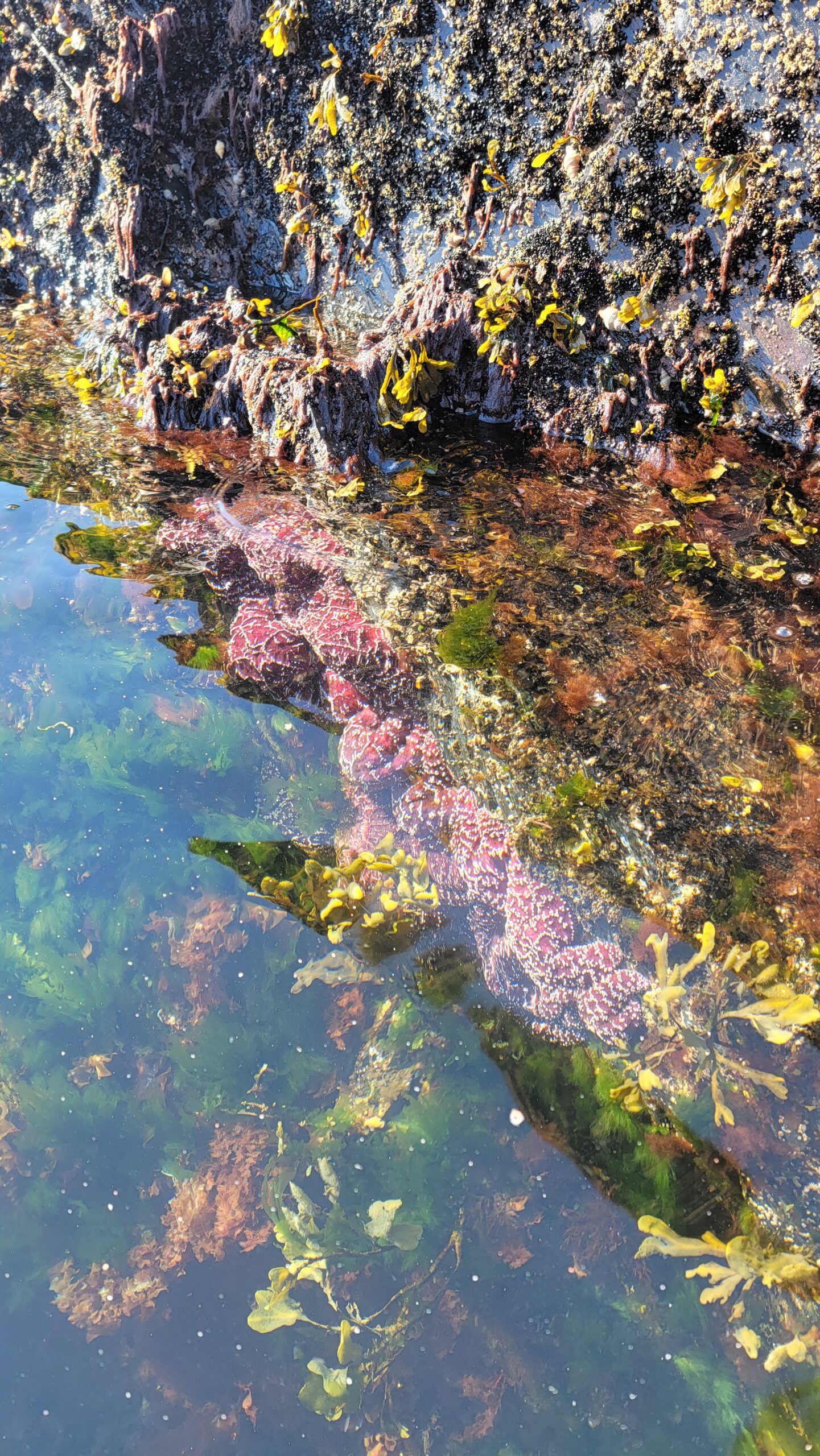 Millers Landing Seward Alaska Beach Seaside