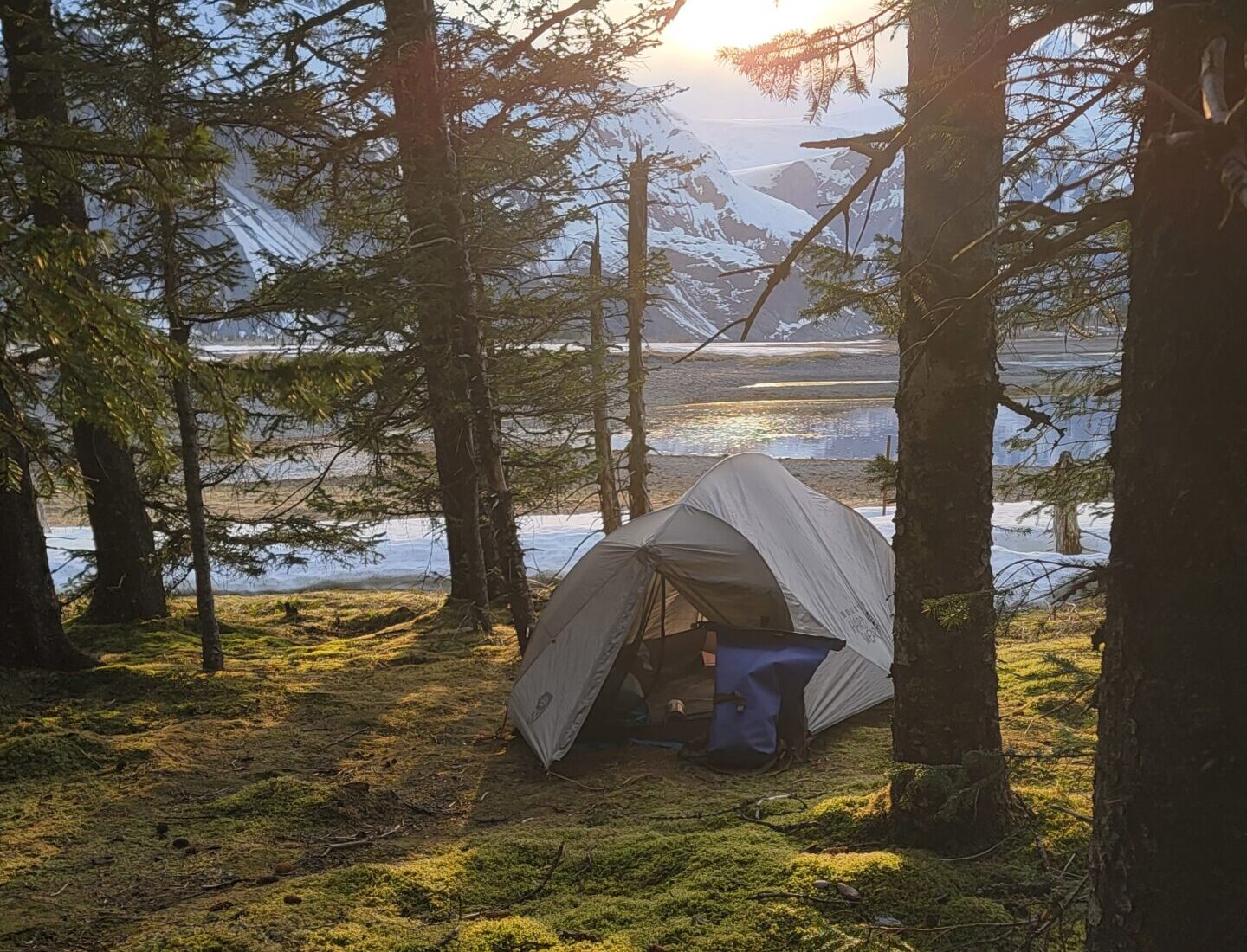 a close up of an umbrella on a grass covered field
