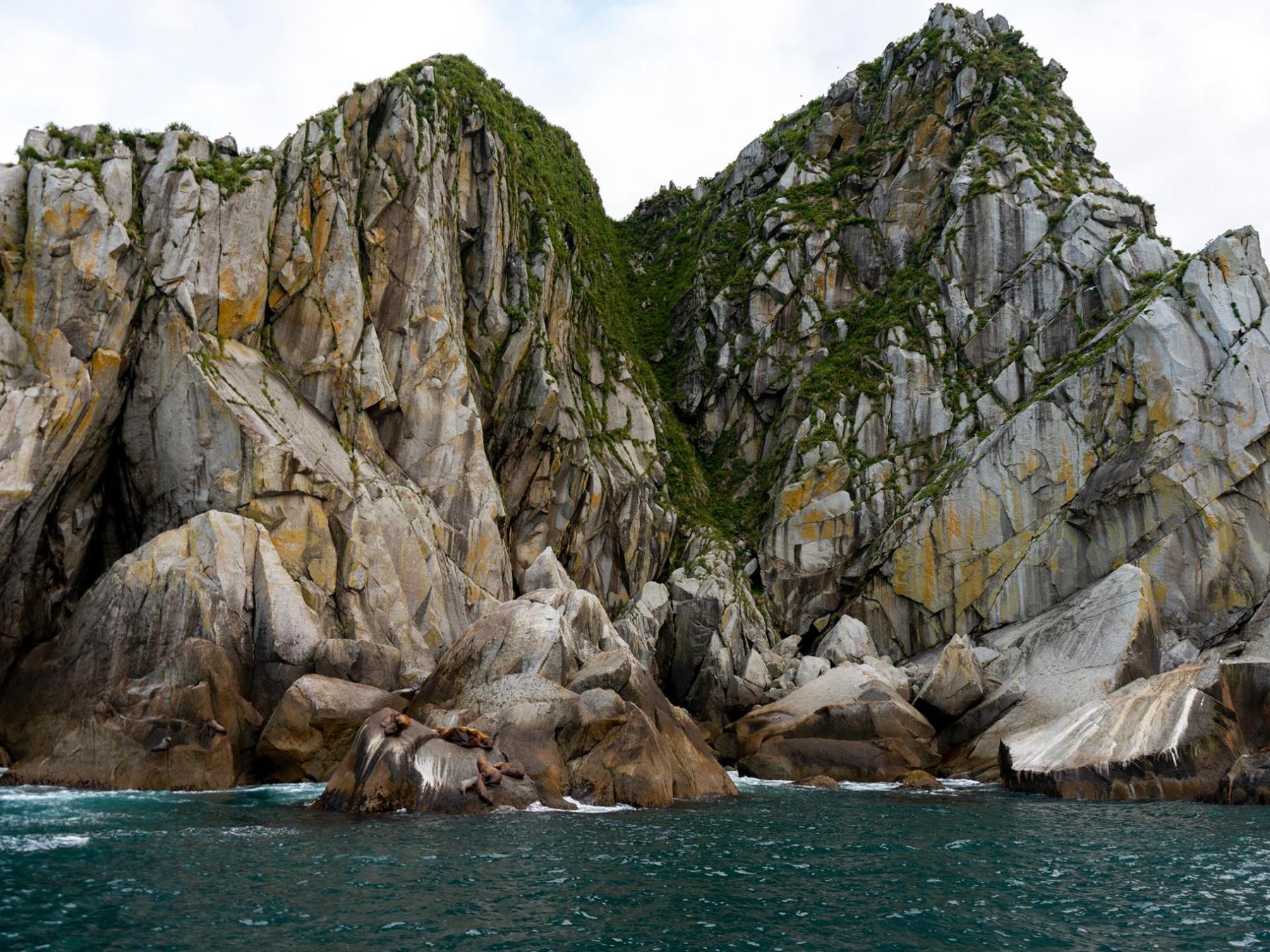 chicken pass with sea lions