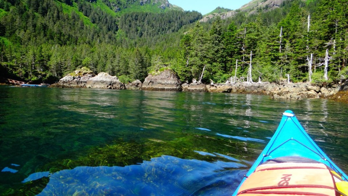 a small boat in a body of water surrounded by trees