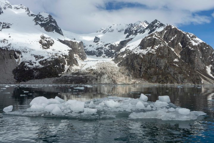 a flock of seagulls standing on a snow covered mountain