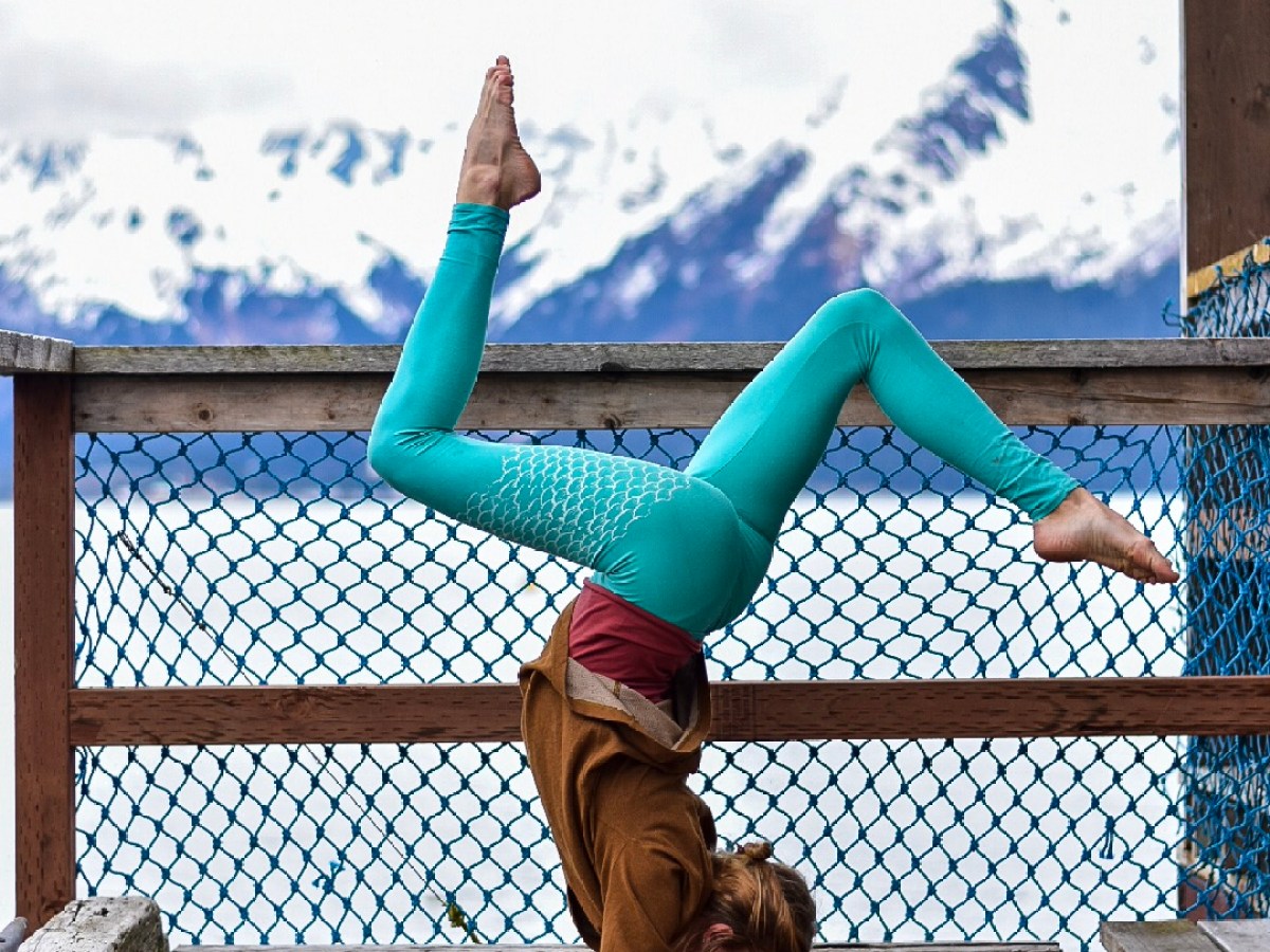 a dog sitting on a bench in front of a fence