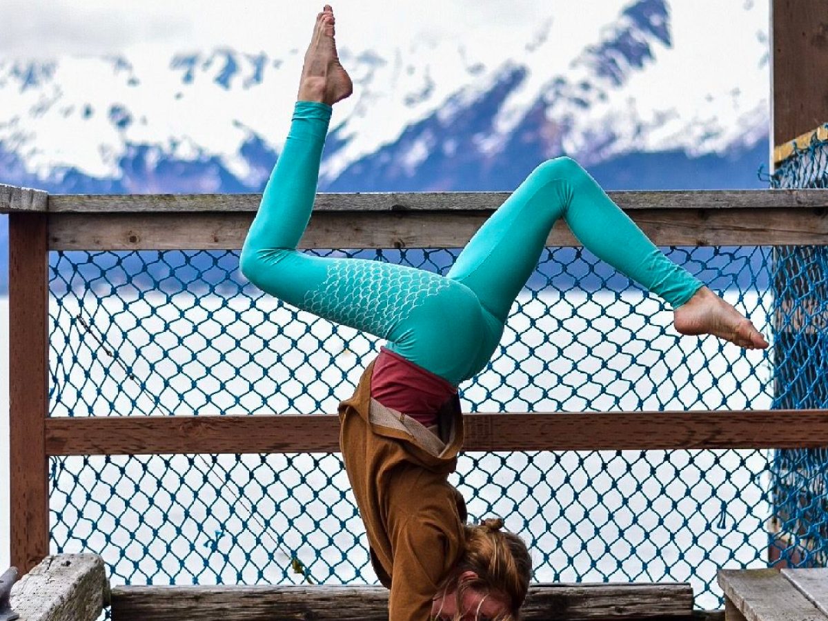 a dog sitting on a bench in front of a fence
