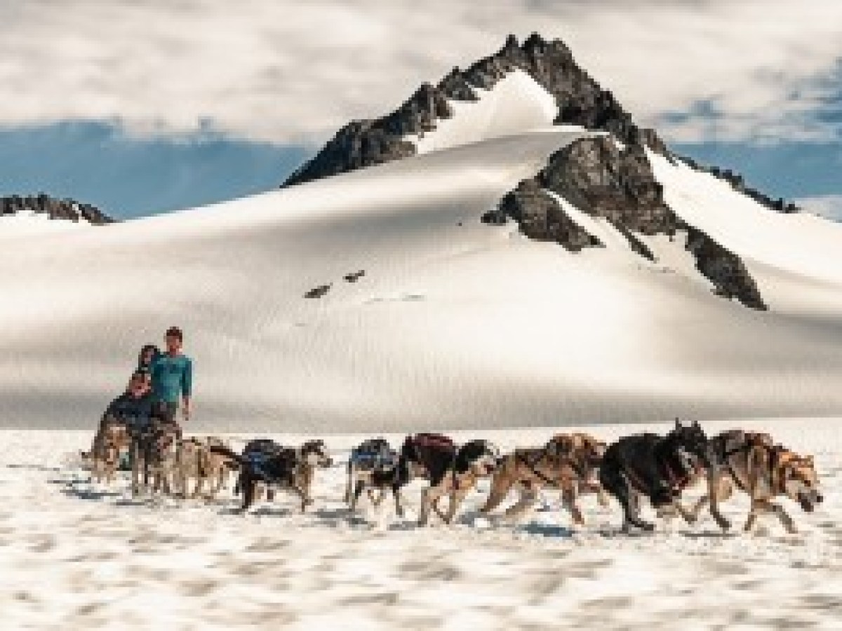 Glacier Dog Sledding - Seward Helicopters