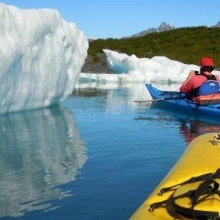 Mystical Orca Island & Humpy Cove