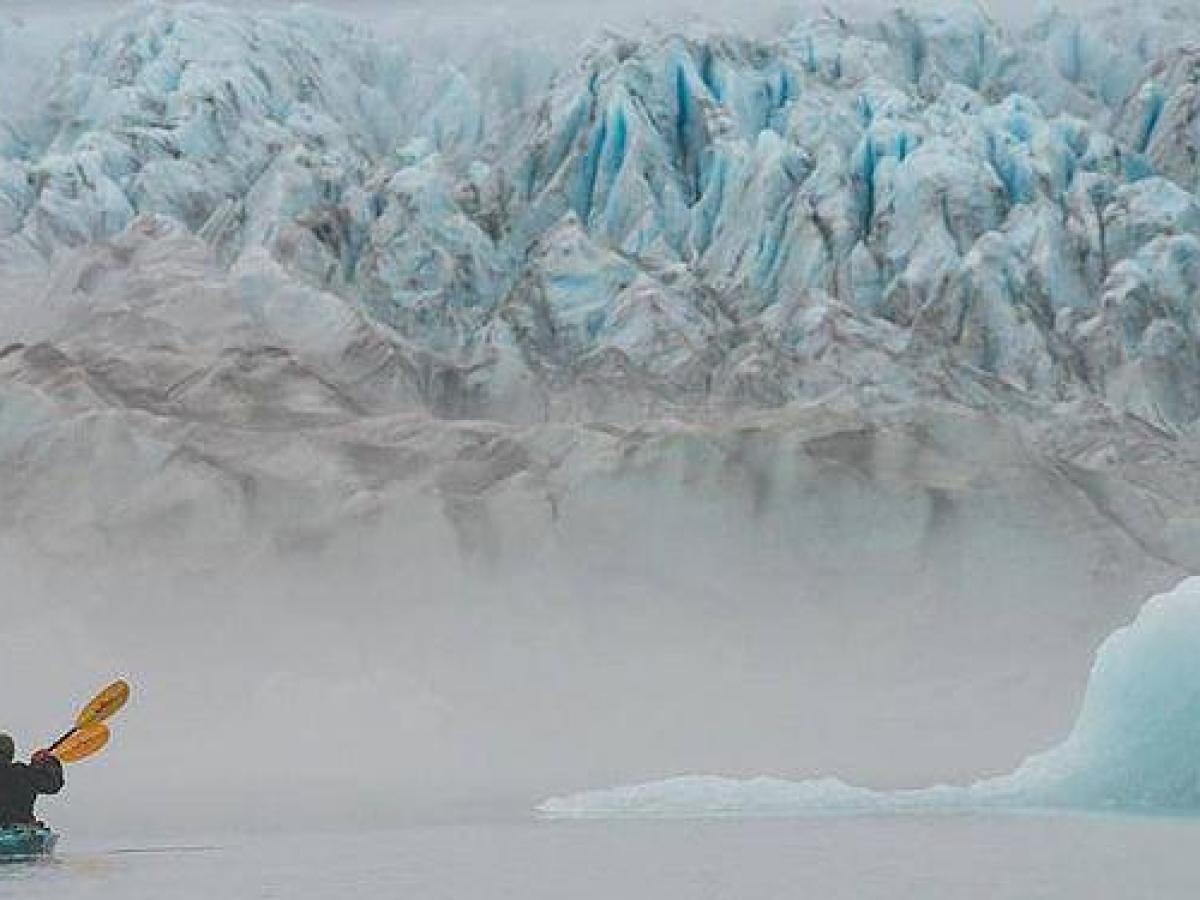 Overnight Bear Glacier Heli/Kayaking Adventure Image 5