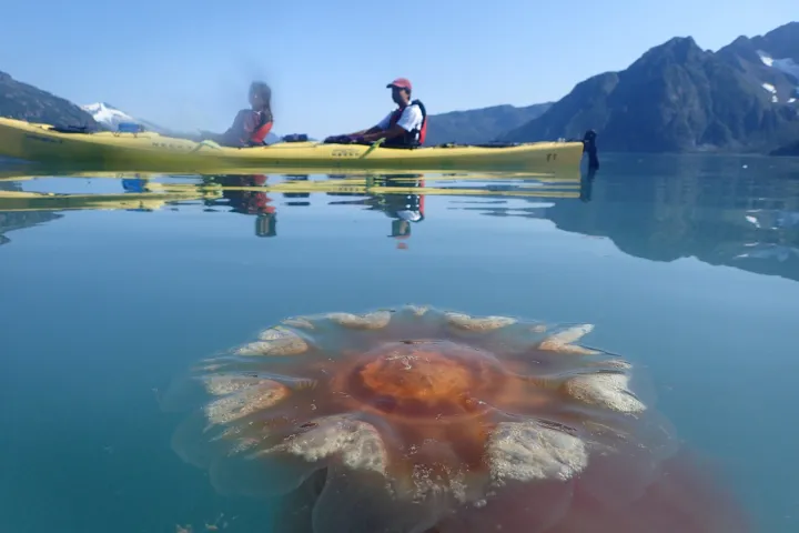 a small boat in a body of water with a mountain in the background