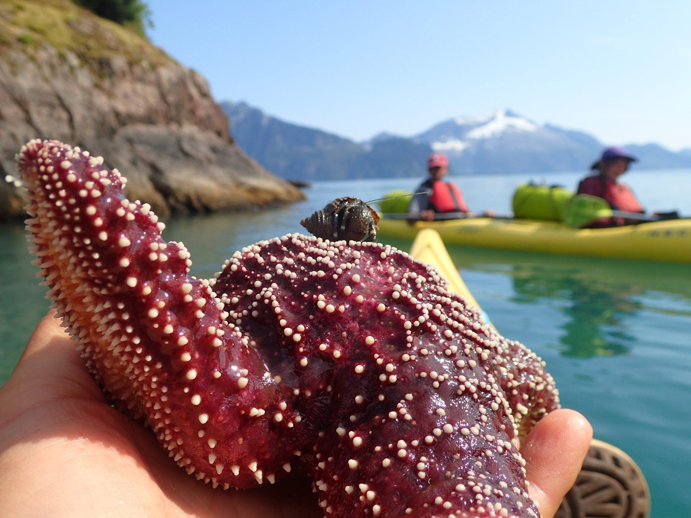 a group of people in the water