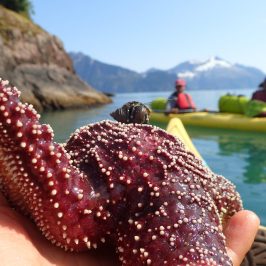 a group of people in the water