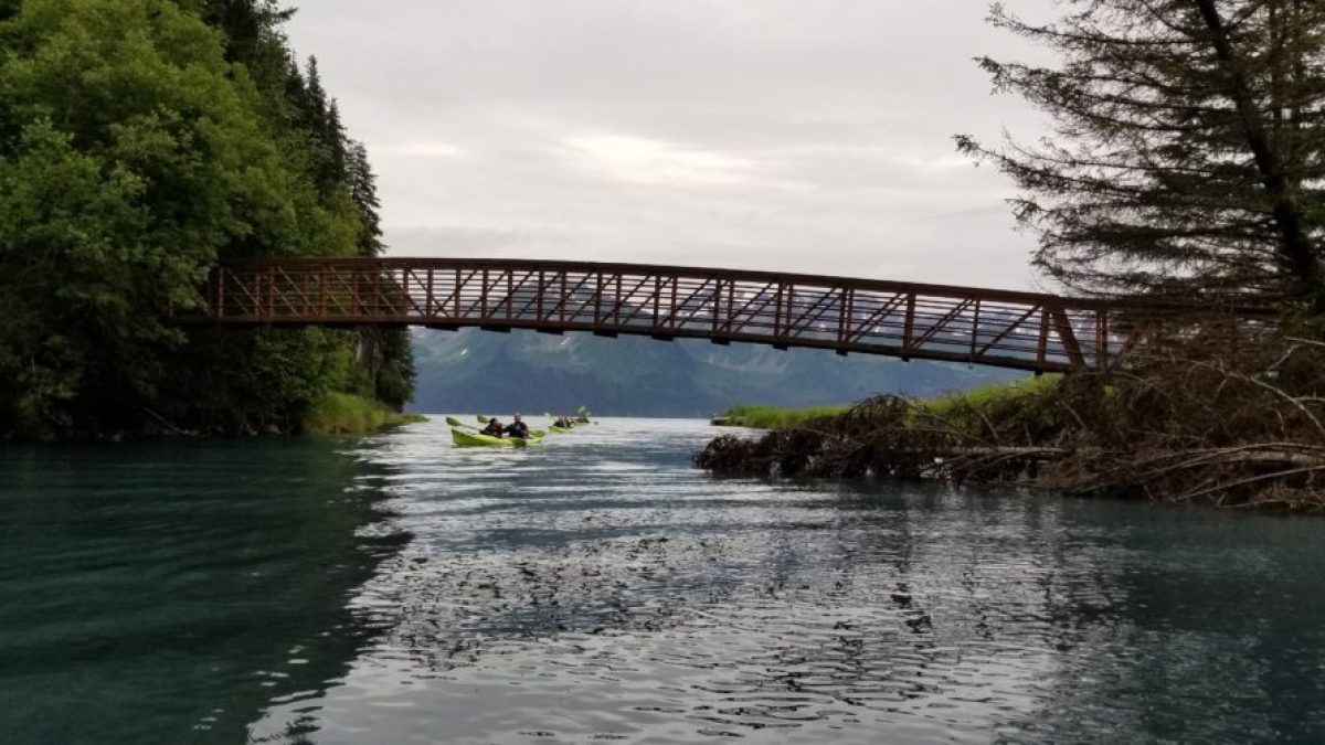Guided Kayaking Trip under Tonsina Bridge