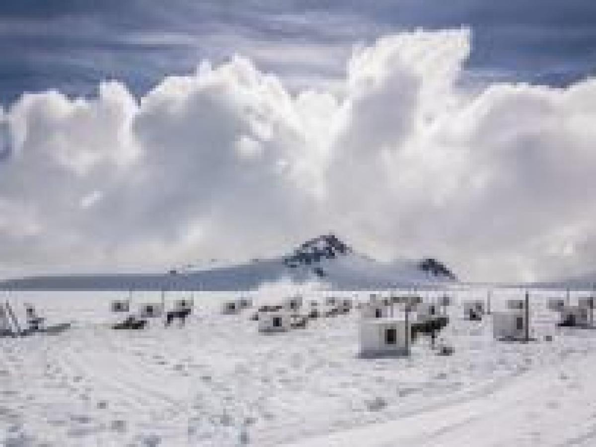 Glacier Dog Sledding - Seward Helicopters